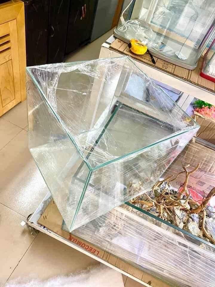 Bể Cubic kính Việt Nhật 30*30cm - 40*40cm - 50*50cm